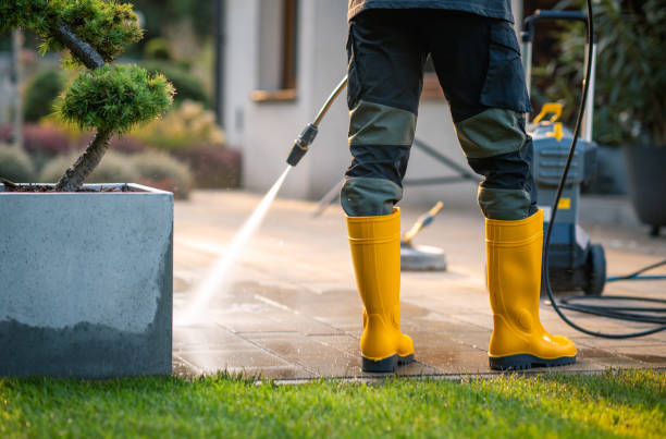Best Residential Pressure Washing Services  in Millsboro, DE